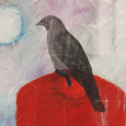 citybird