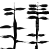 weeds 2