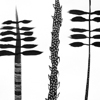 weeds 1